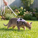 Reflective Escape-Proof Cat Harness – Adjustable Vest with Built-in AirTag Holder for Outdoor Walking
