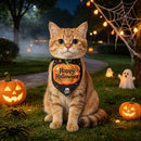 Halloween Pet Bandana Printed Dog Scarf Cat Neckwear