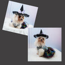 Pet Dog Cat Halloween Hat Creative Pumpkin Devil Spider Costume for Pets
