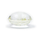 Pet Cat Dog Flea and Tick Prevention Silicone Collar with Insect Repellent Tag, Anti-Flea and Anti-Tick