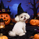 Pet Halloween Hat New Style Direct Factory Supply Pet Transformation Magic Hat Halloween Pet Hat Manufacturer