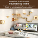 Wall-Mounted Cat Hammock & Sisal Scratch Post Set – Space-Saving Cat Activity Shelves, Climbing Tree & Bed for Indoor Cats