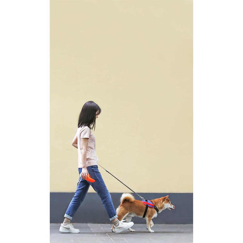 Instachew Rover Pet Travel Bottle, Dog Water Bottle